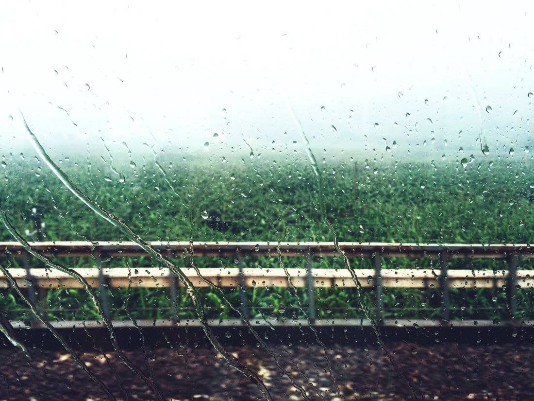 梅子黄（雨の日の写真）