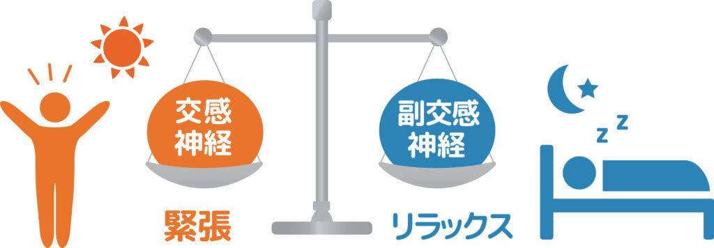 自律神経